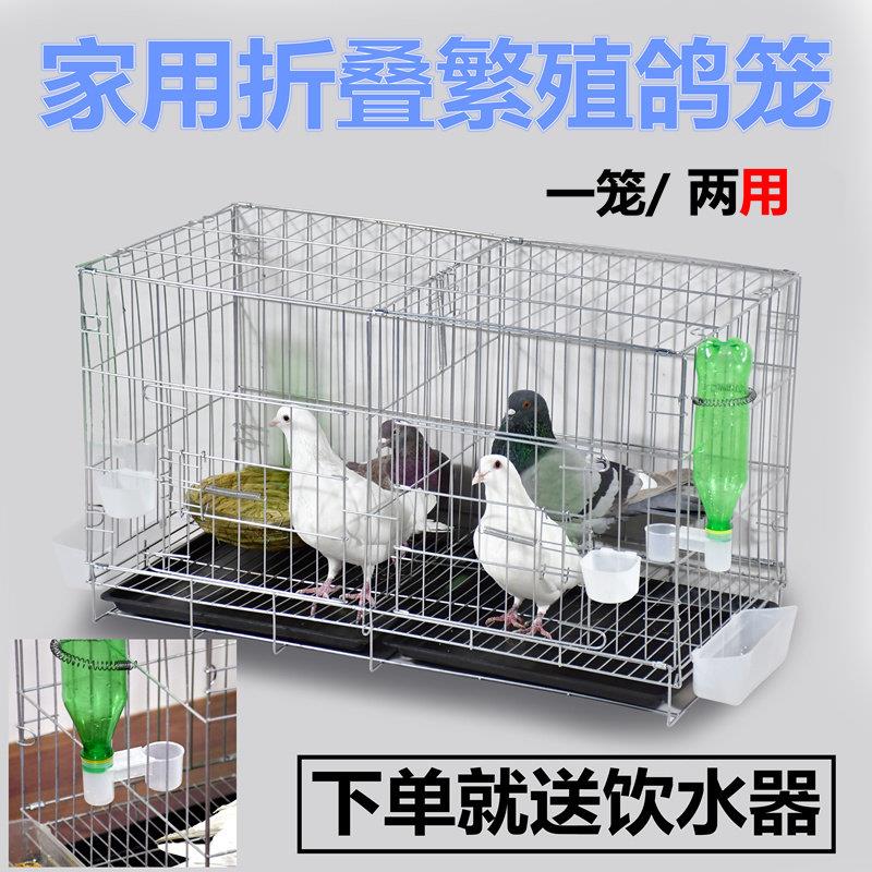 鸽子笼专用网铁丝养殖笼室外鹦鹉鸟笼子特大号组装用具用品大全
