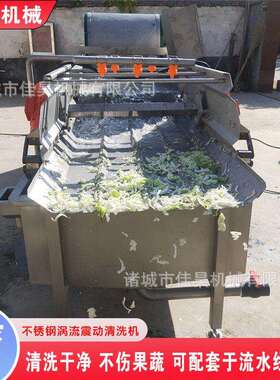 厨房专用半成品菜洗菜机草菇涡流清洗机土豆片果蔬漩涡清洗流水线