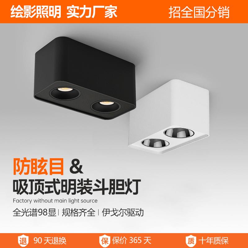 全光谱98显明装斗胆灯防眩目低蓝光吸顶式家用无主灯照明灯具厂家