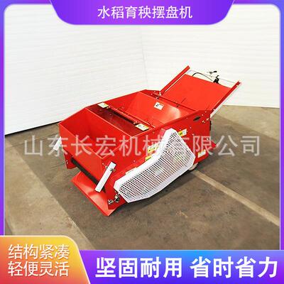 育苗秧盘播种机电动汽油抛秧稻谷大棚覆土一体自动水稻育秧摆盘机