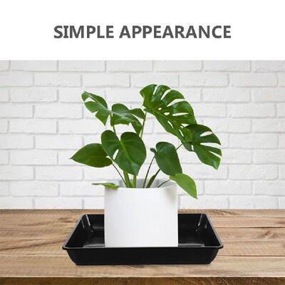 4 Pcs Flower Pot Base Succulent Saucers Plant Drainage