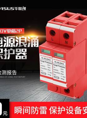 华联电视电源防雷装置三级2P单相220V电箱防雷家用浪涌保护器模块