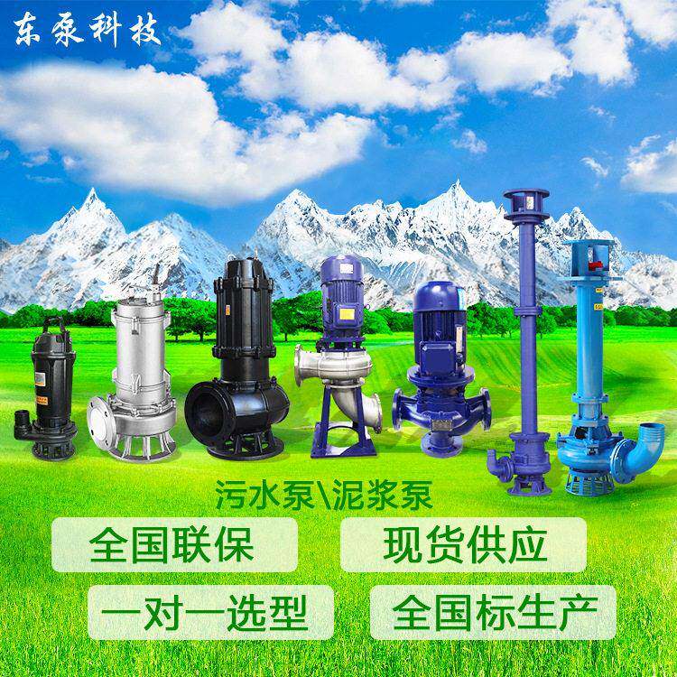 山东东泵大流量潜水无堵塞排水泵WQ农田灌溉泵站配套污水泵