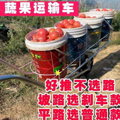 大棚蔬菜采摘运输车农用多桶黄瓜番茄省力单轮车拉小推车懒汉车