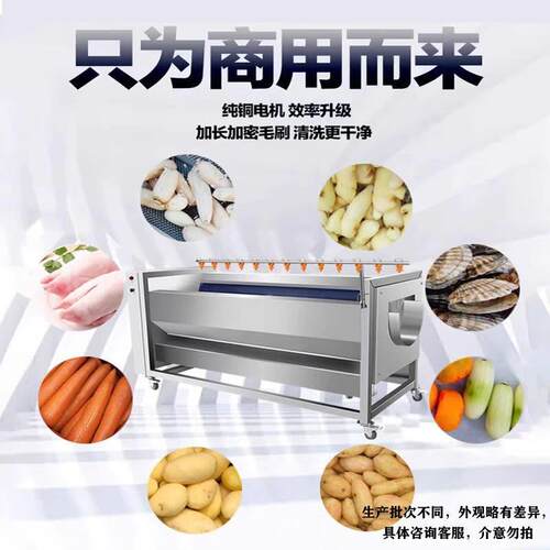 土豆机商用清洗芋头生姜莲藕毛刷脱皮机生蚝海鲜清洗机全自动去皮