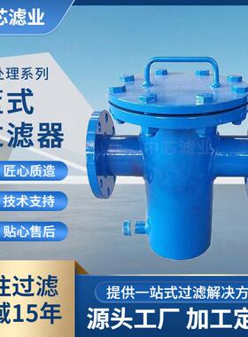 中芯滤业dn300篮式过滤器碳钢篮式过滤器工业用水处理设备