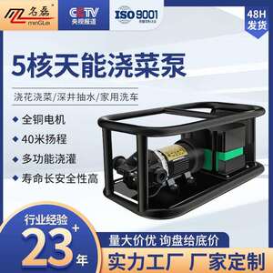 名磊12v充电式抽水泵农村浇菜神器浇水机农用灌溉户外浇地抽水机