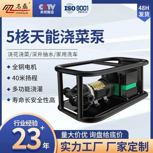 名磊12v充电式抽水泵农村浇菜神器浇水机农用灌溉户外浇地抽水机