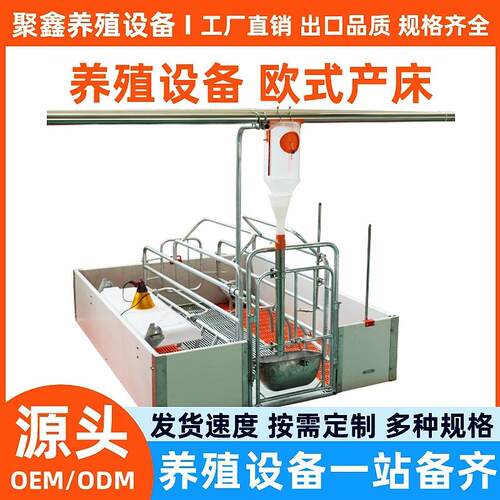 仔猪保育床高配热镀2.5小猪保育栏母猪产床定位栏养猪设备养殖场