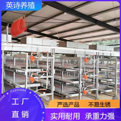 框架肉鸡笼框架式养鸡设备肉鸡笼养殖场鸡舍养鸡笼热镀锌立式