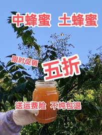 农家自养自销蜂蜜中蜂蜜土蜂蜜百花蜜农家蜜纯天然零添加美容保健