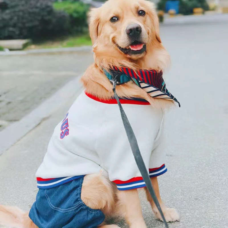 大狗狗衣秋冬金毛拉布拉多萨摩耶冬季加厚中大型犬冬天牛仔四脚包