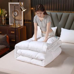 全棉羽BUG丝被羽绒被子冬绒季 加被厚冬春秋被学生宿舍纤维被丝芯