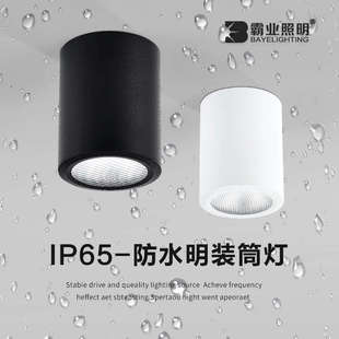 筒灯户外室外阳台店铺门头酒店雨棚露台吸顶射灯IP65防潮 防水明装