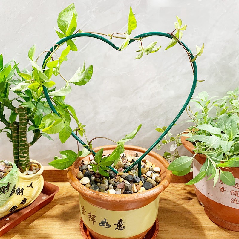 室内爱心形铁艺花架金枝玉叶山乌龟绿萝造型架子植物攀爬圆形支架