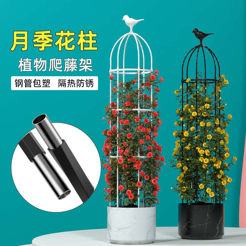 花架爬藤架月季花柱铁线莲架子户外支撑杆阳台玫瑰藤架盆栽花支架