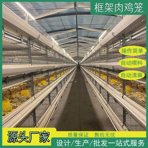 鸡笼肉鸡笼框架肉鸡笼自动化养殖场鸡舍三层四层后热镀锌坚固耐用