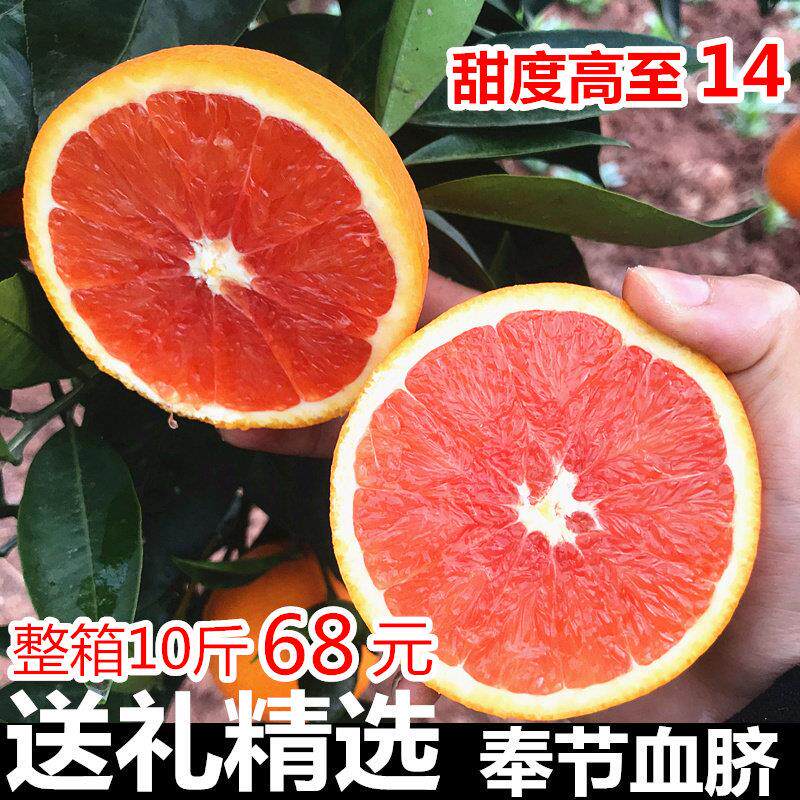 重庆奉节血脐橙包邮现摘红心肉新鲜水果应当季甜橙子10斤大果礼盒