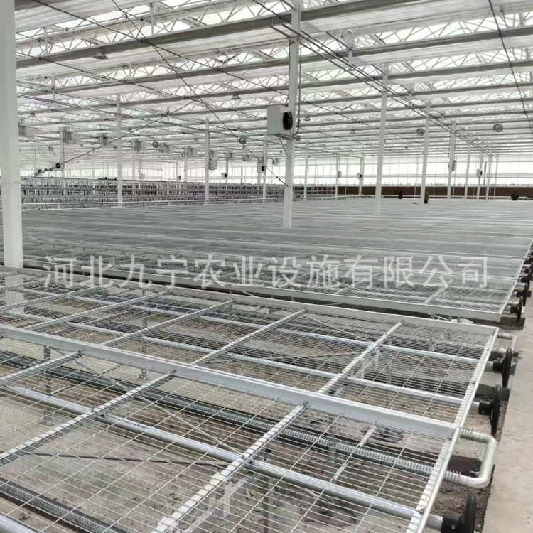 大棚育苗床网片 智能温室热镀锌移动苗床 花卉无土栽培苗床网厂家