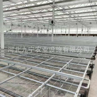 智能温室热镀锌移动苗床 大棚育苗床网片 花卉无土栽培苗床网厂家