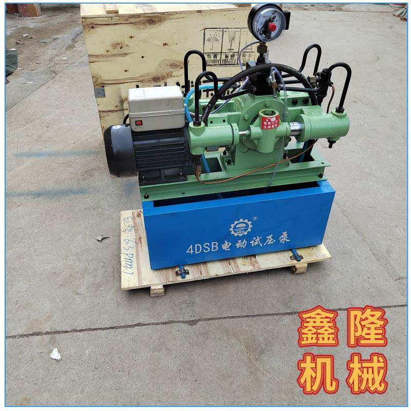 新款直销4DSB-16管道试压泵厂价 电动打压机 管路检漏仪