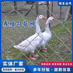 煤矿镀锌铁丝网养殖牛羊钢丝网边坡绿化喷浆护坡勾花网支护菱形网