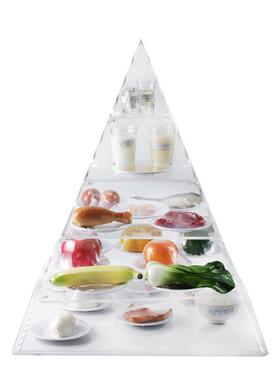 常用32种营养膳食宝塔模型指导中国居民营养平衡食物交换份道具