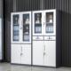 钢制办公室件拆装 06档柜财务凭证柜储 文柜窄资边更衣柜料柜案yx