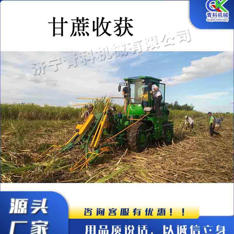 履带式甘蔗收获机土质地面作业收割机全液压山区平原甘蔗收割机