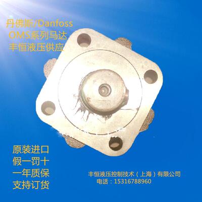 萨奥 大扭矩液压马达 行走 OMS250 液压旋转马达 起网机
