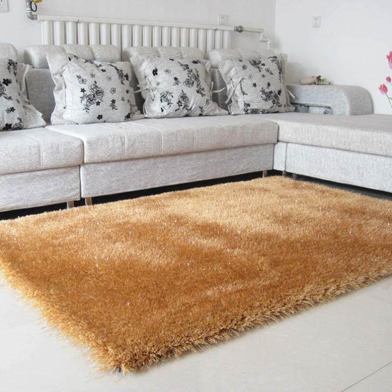 加密加厚弹力丝卧室地毯现代简约丝毛客厅茶几垫地毯满铺沙发地毯