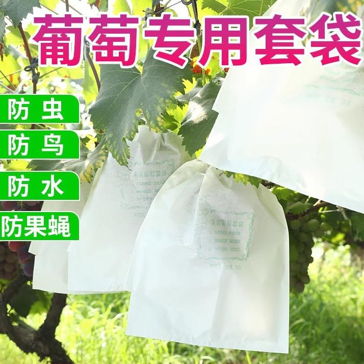 葡萄专用套袋防雨防虫鸟葡萄用保护袋防病害露天葡萄袋防水透气袋