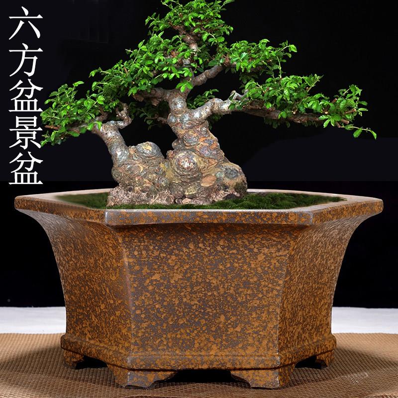 紫砂花盆榕树老桩陶瓷盆景盆大口径六方行花盆特大号六角透气盆栽
