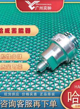 进口HAWE哈威AC 40-1/4-18隔膜式蓄能器原装有库存