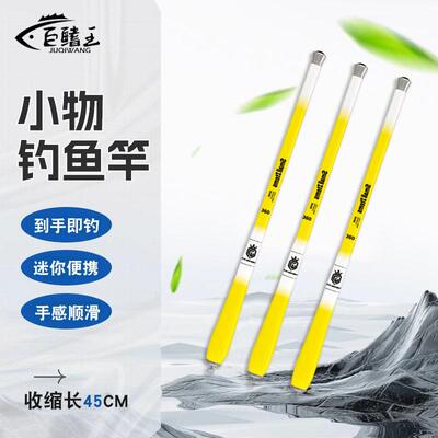 儿童鱼竿短节小物钓鱼竿套装鳑鲏马口溪流竿超轻超硬迷你手竿