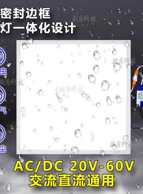 交直流船用24v36v伏低压平板灯48v工地浴室专用led集成吊顶面板灯