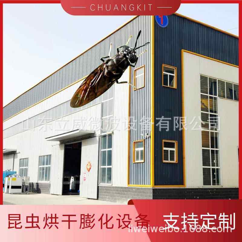 大麦虫黑水虻微波干燥机黄粉虫烘干机隧道式昆虫烘干设备