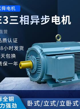2极三相异步电动机 YE3高效率全铜马达电机0.75kw-37千瓦交流电机