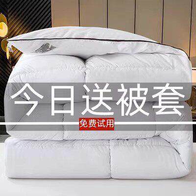 羽绒被非95白鹅绒被芯冬被加厚保暖5kg春秋被双人空调被
