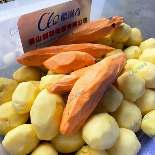 紫薯商用薯类去皮水果清洗削皮机 土豆削皮机厂家另售南瓜削皮机