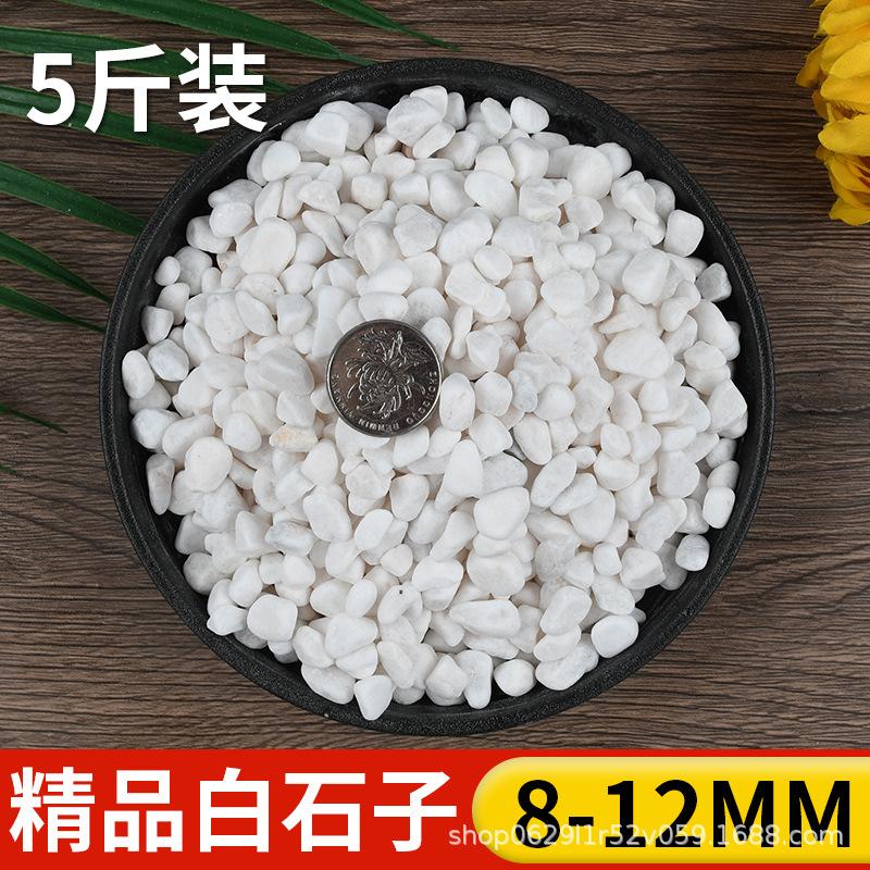 石子多鹅卵石盆栽铺面栽培基质