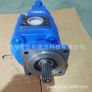 14Z 厂家生产供应高压双联齿轮油泵 1010F JHP3100