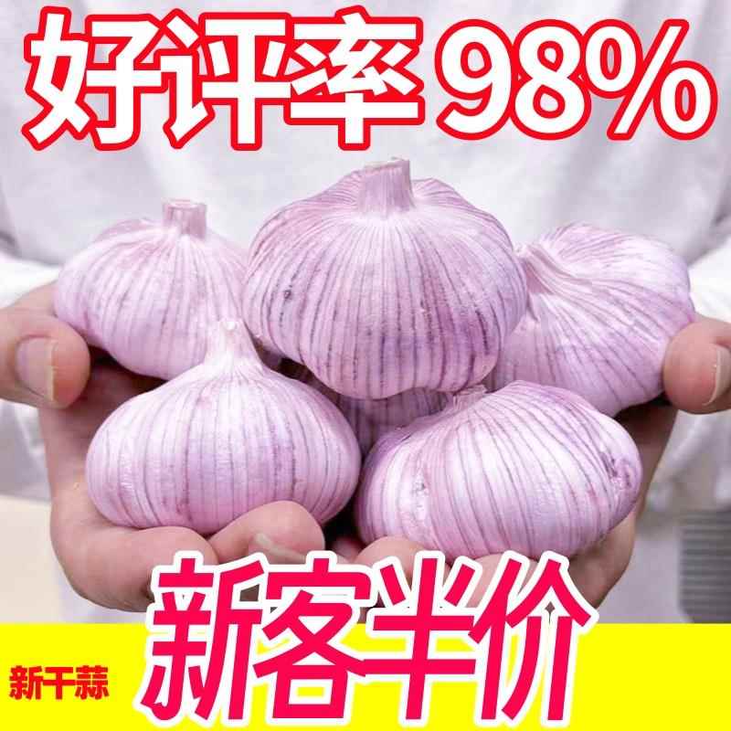首单直降-山东紫皮大蒜头干蒜紫皮大蒜头干蒜特大新鲜大蒜
