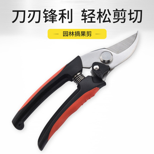 不锈钢树枝修枝剪花木剪园林果树花卉枝嫁接采摘水果园艺剪刀工具