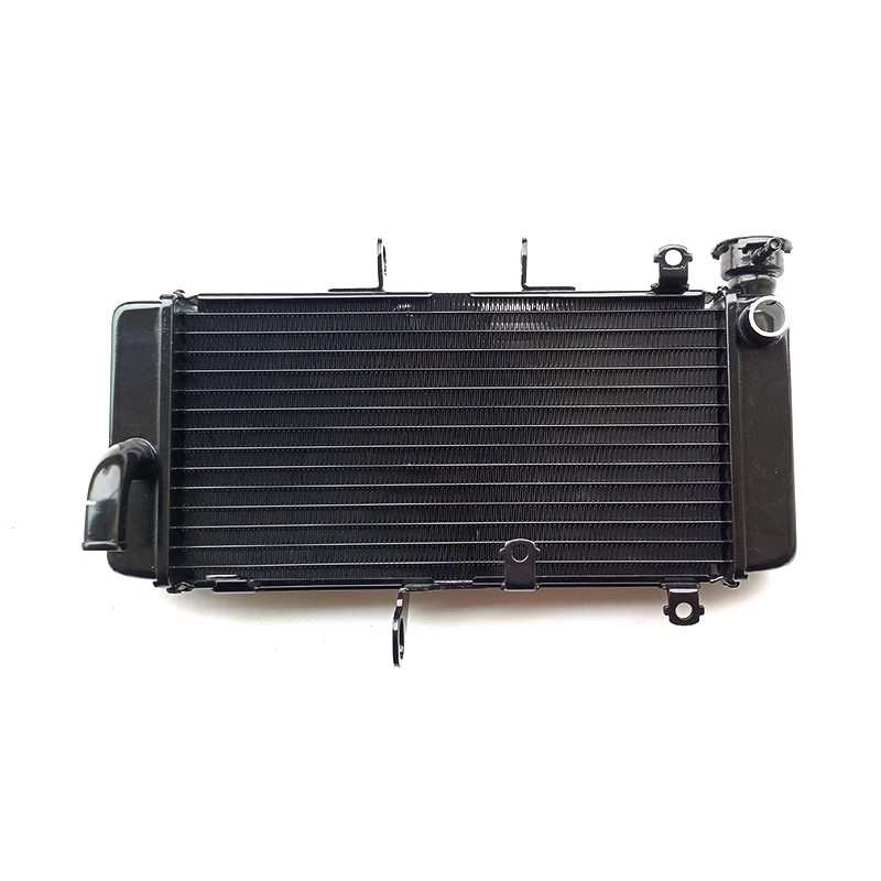 适用铃木DR250 DR300 TR300 XCR300水箱总成水冷散热器风扇风叶器
