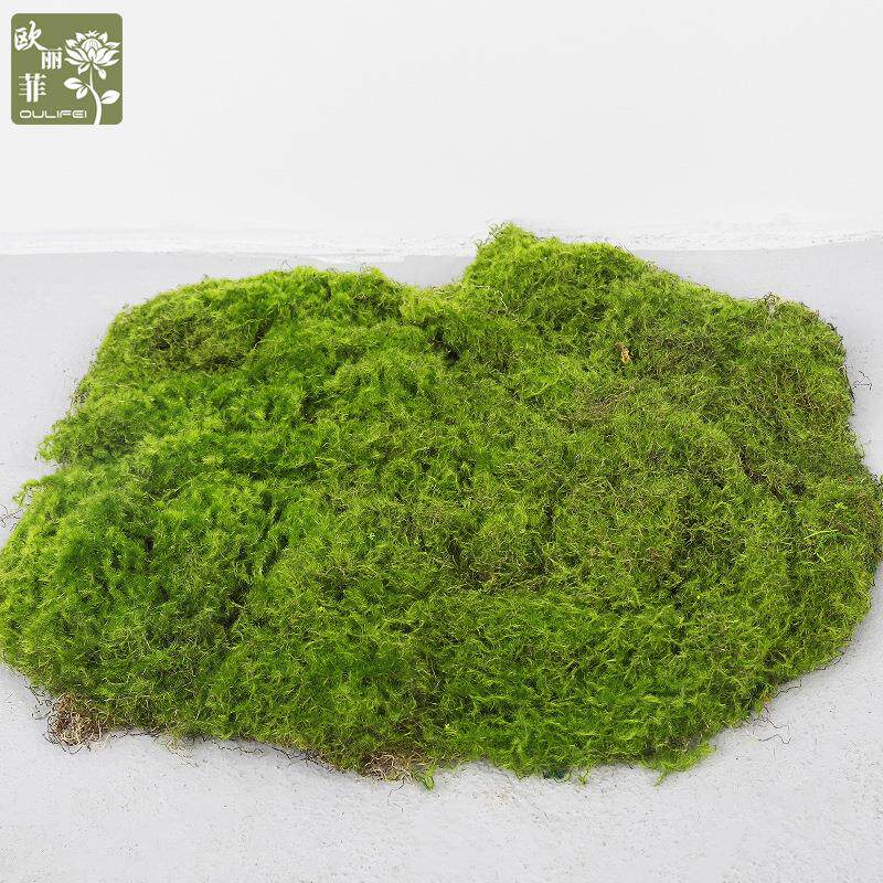 仿真植物草坪苔藓 室内景观摆件装饰植物墙仿生 仿真青苔造景