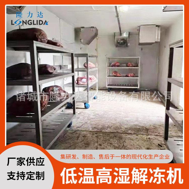牛羊肉解冻机商用冻肉类低温湿解冻库羊酮体低温缓化解冻设备