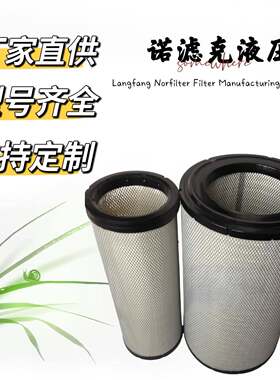 滤芯246-5009AF25454110996SEV551F/415192282465009