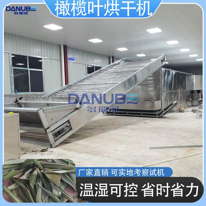 橄榄叶烘干机网带青橄榄叶油橄榄青果山榄干燥机橄榄叶烘干设备