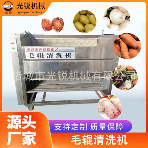 扇贝海鲜猪蹄清洗机清洗去皮商用果蔬土豆红薯莲藕萝卜毛辊清洗